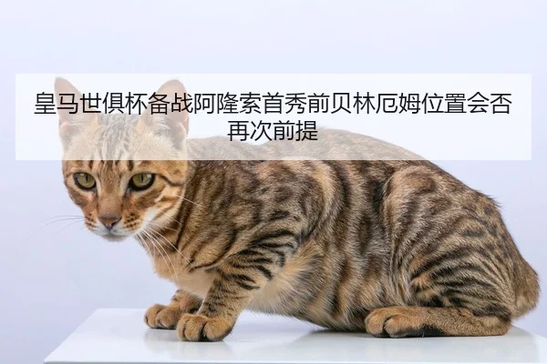 皇马世俱杯备战阿隆索首秀前贝林厄姆位置会否再次前提