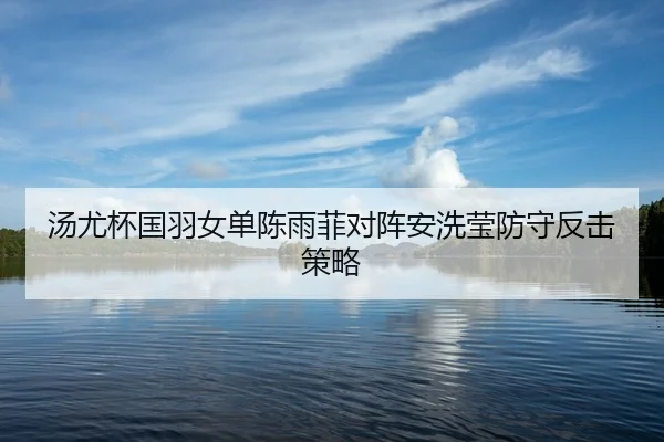 汤尤杯国羽女单陈雨菲对阵安洗莹防守反击策略
