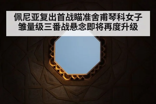 佩尼亚复出首战瞄准舍甫琴科女子雏量级三番战悬念即将再度升级